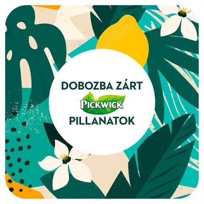 2 x 30 g fémdobozos pickwick teacsomag 